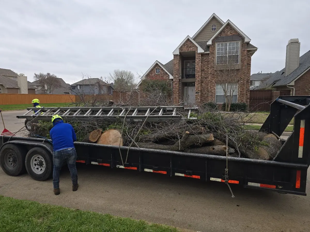 Expert Tree Fertilization with proper safety equipment in Malta Bend